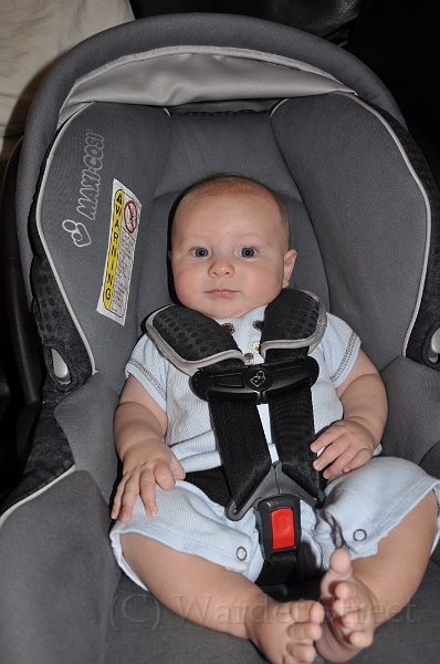 William's Fourteenth Week 23.jpg